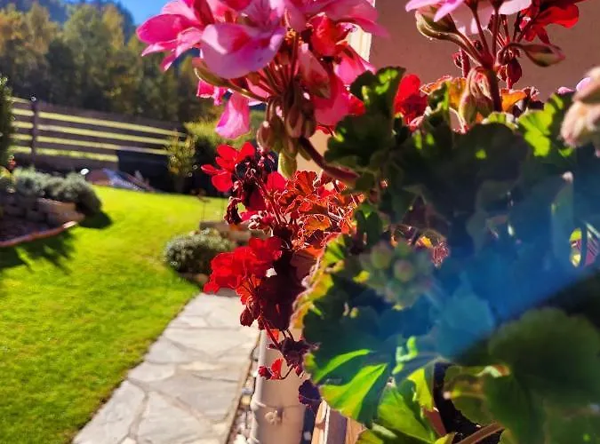 Inge Haus im Ennstal